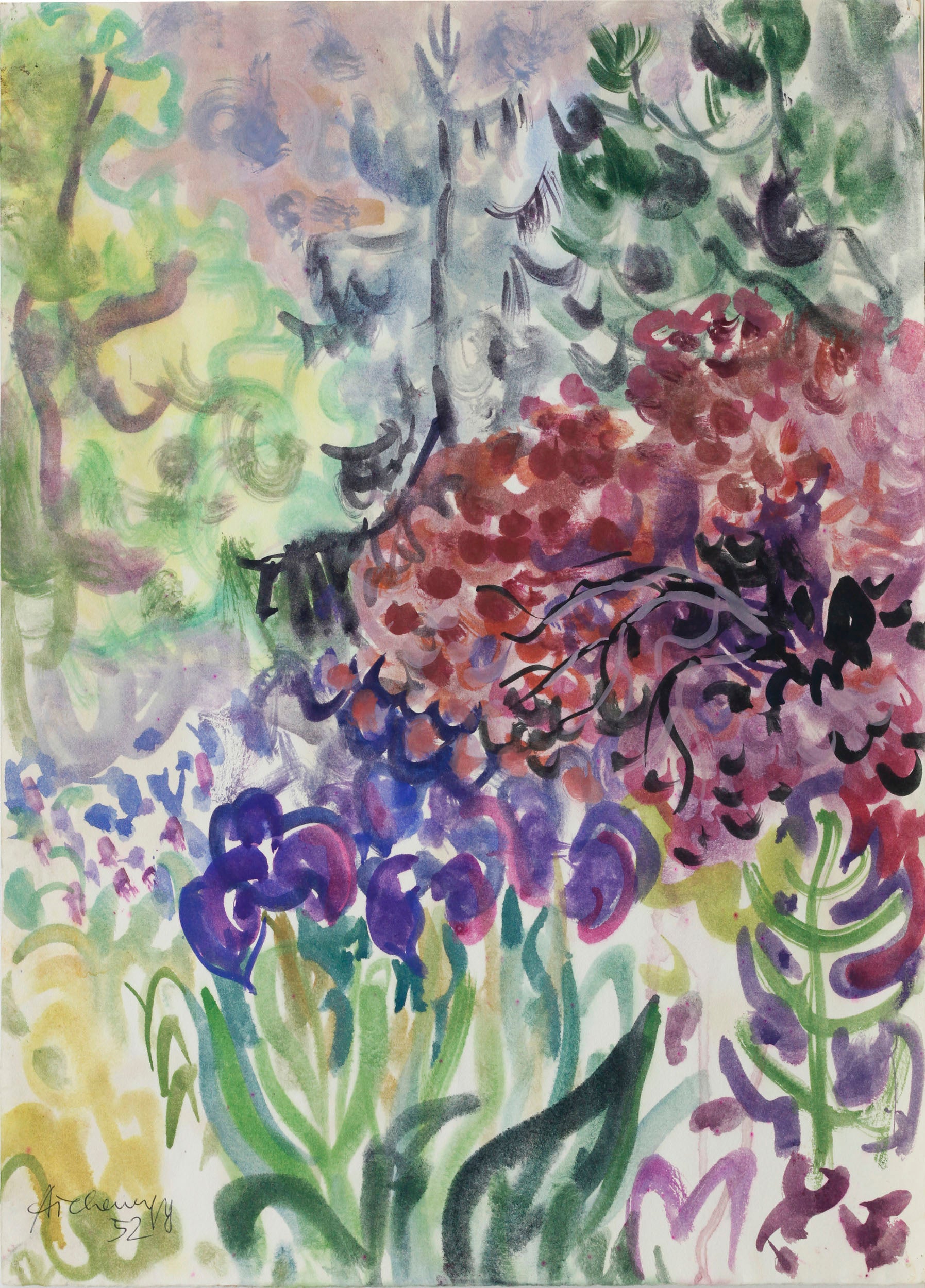 Flowering garden with iris