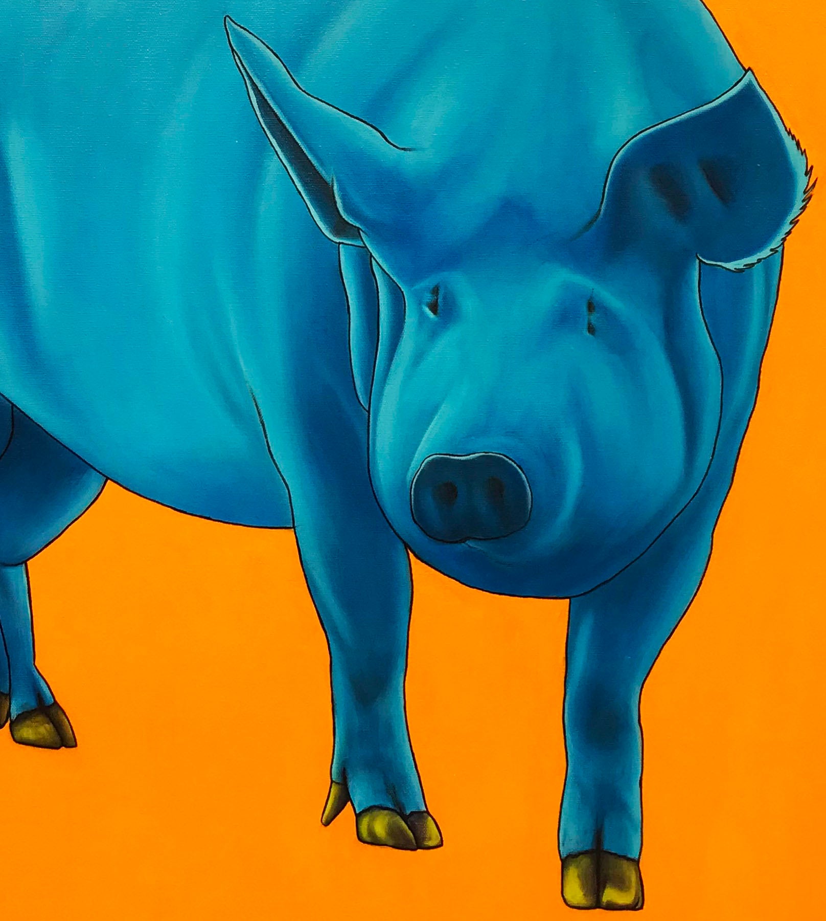 Blue Pig on Orange