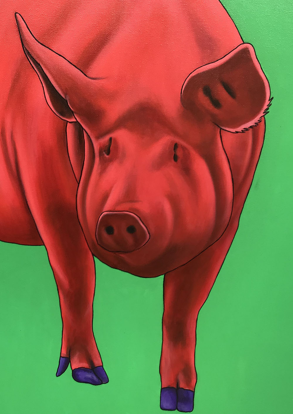 Red Pig on Green