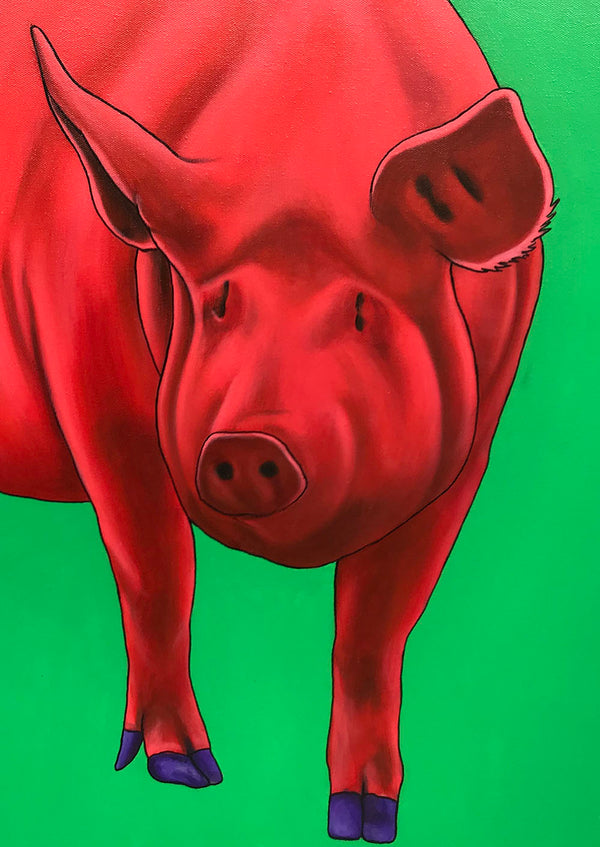 Red Pig on Green