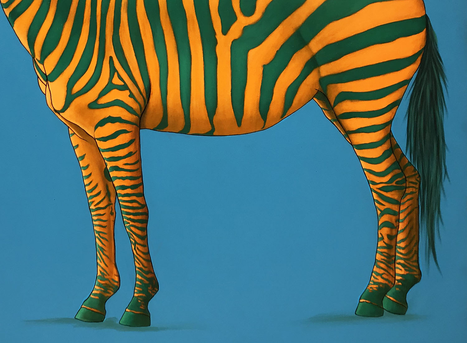 Green and Orange Zebra on Blue