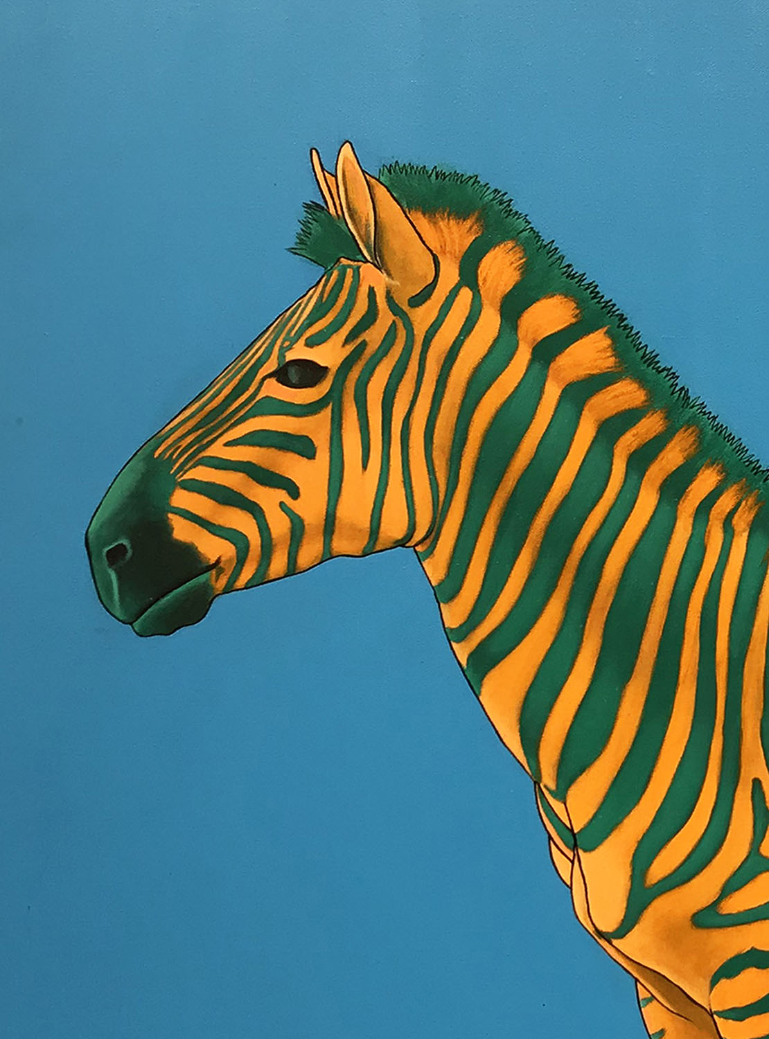 Green and Orange Zebra on Blue