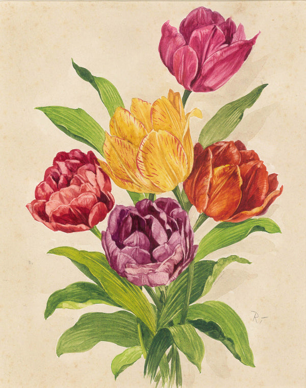 Tulips bouquet