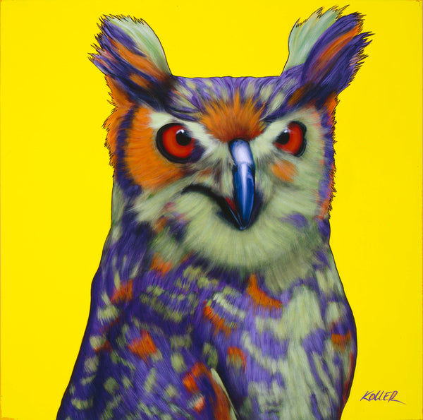 Owl