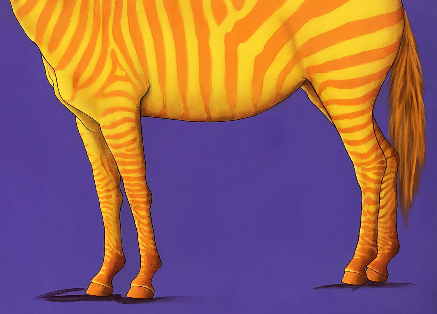 Orange and Yellow Zebra on Purple