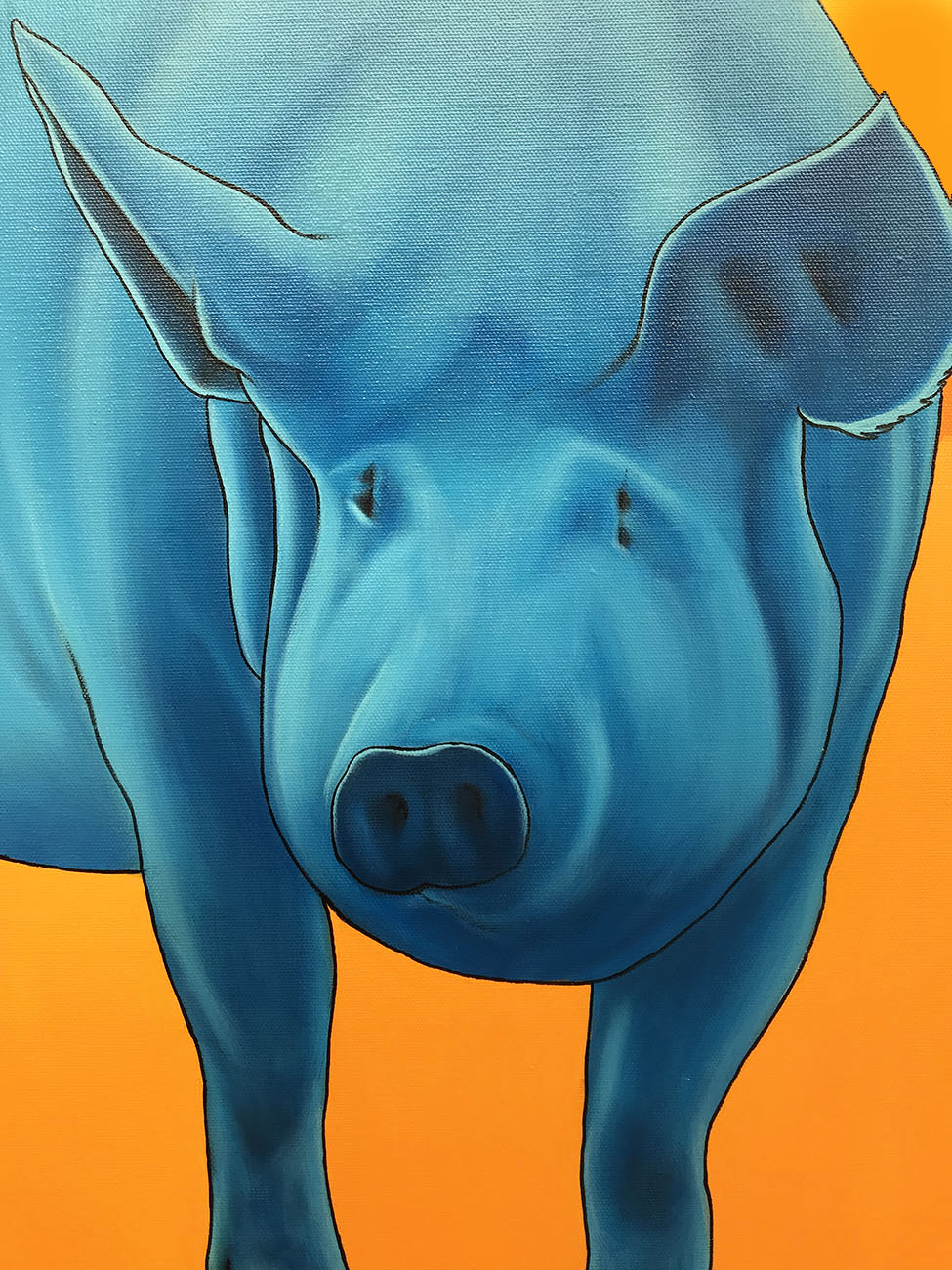 Blue Pig on Orange