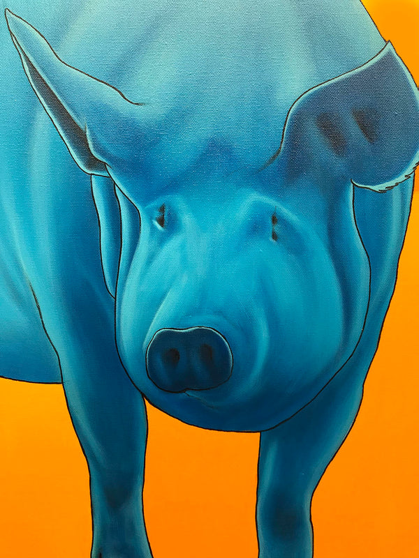 Blue Pig on Orange