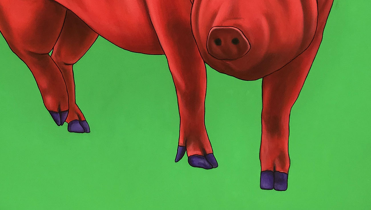 Red Pig on Green