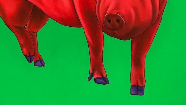 Red Pig on Green