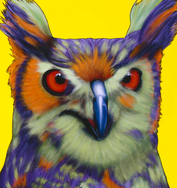 Owl