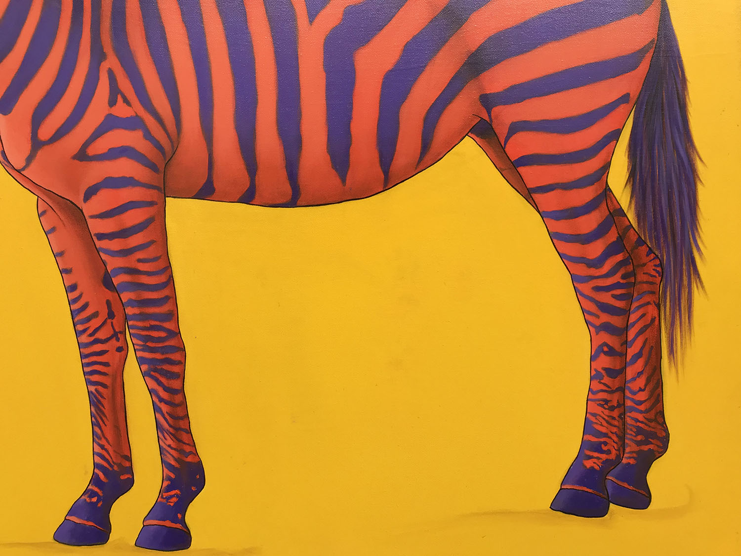 Purple and Red Zebra on Yellow