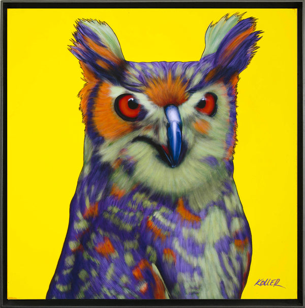 Owl