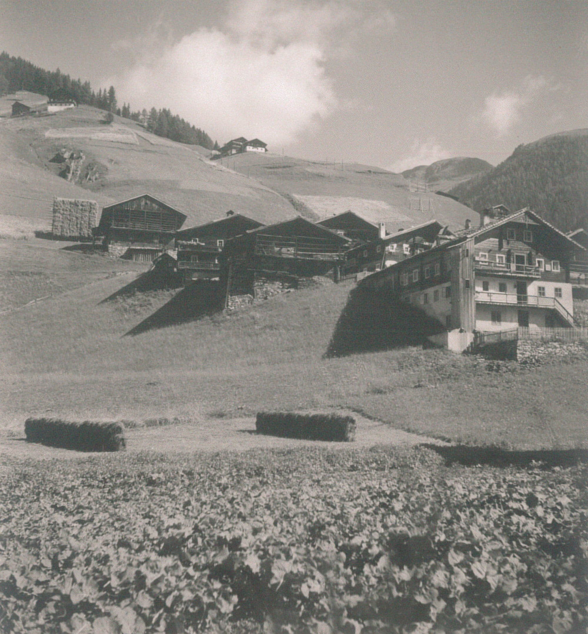 Defreggen, Tirol