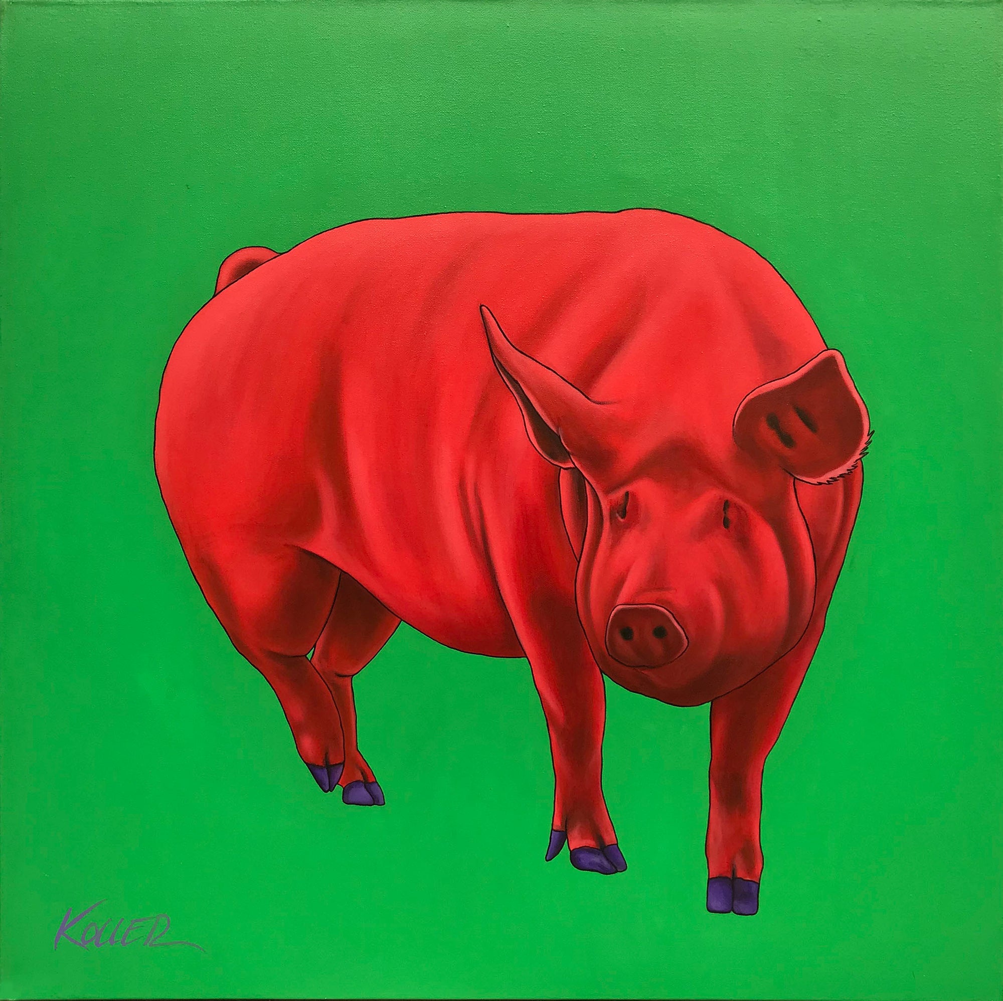 Red Pig on Green