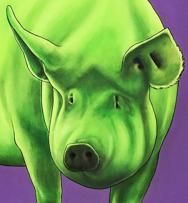 Green Pig on Purple