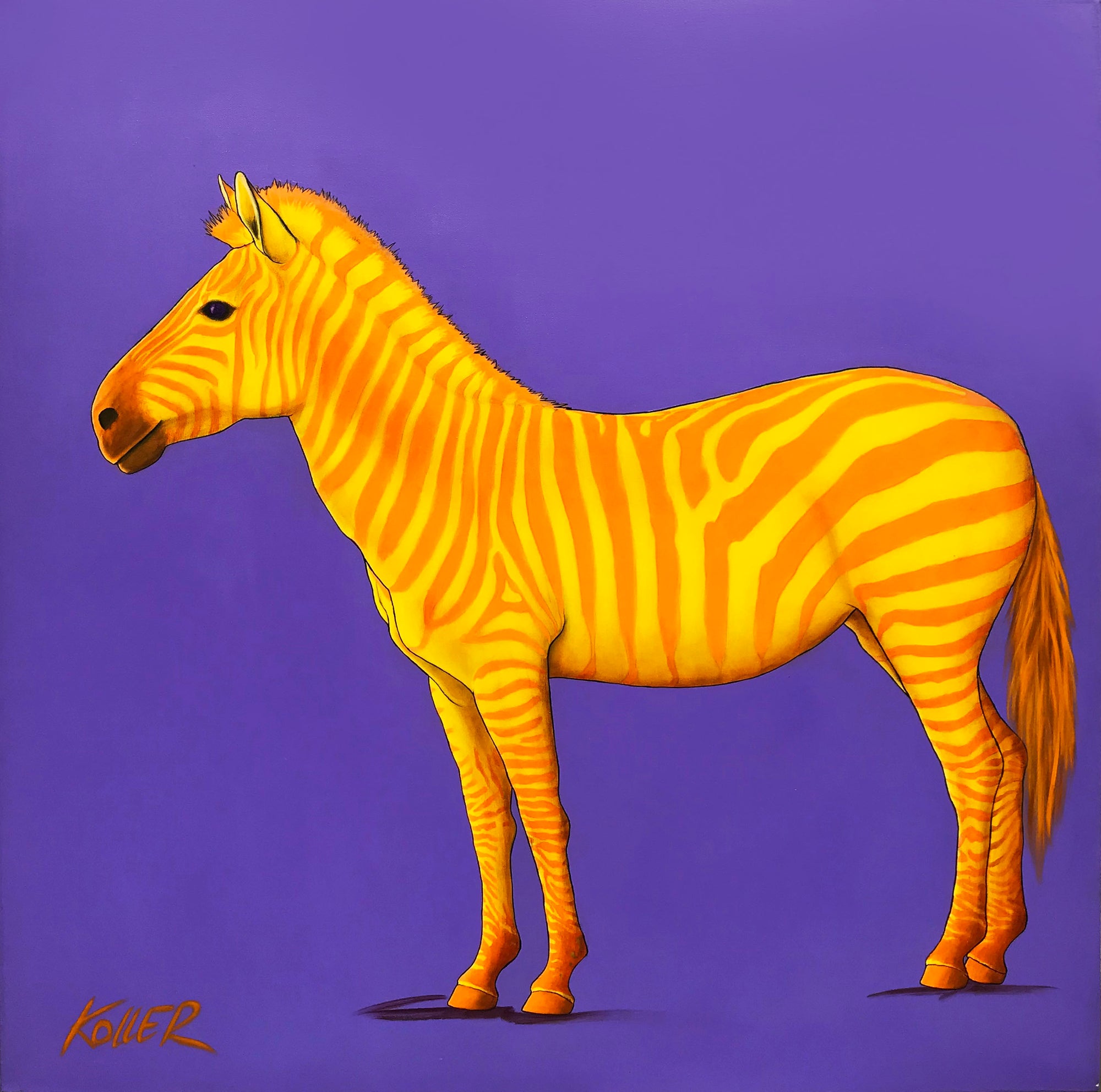 Orange and Yellow Zebra on Purple