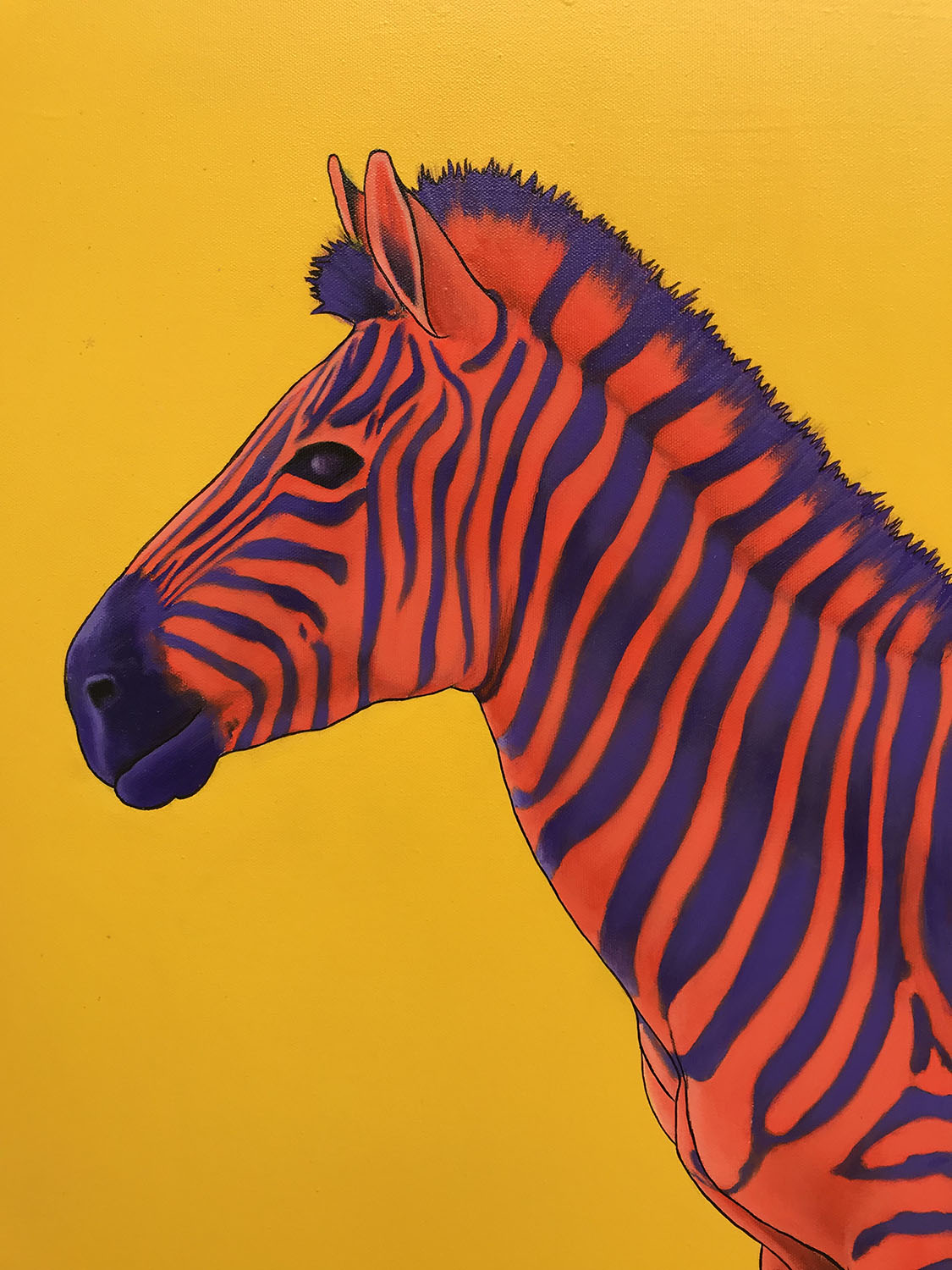 Purple and Red Zebra on Yellow