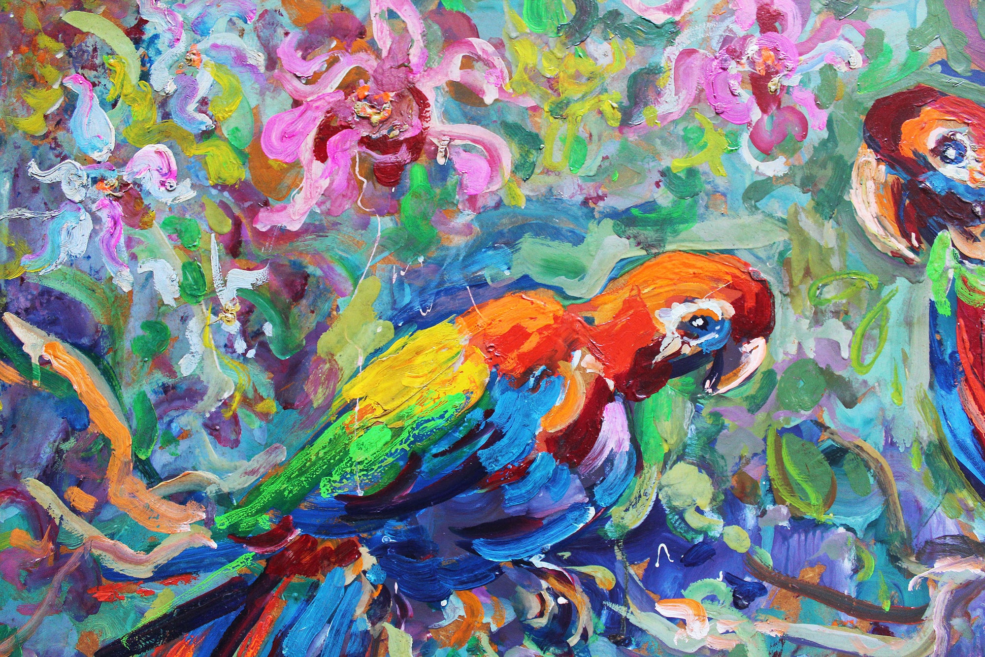 Parrots