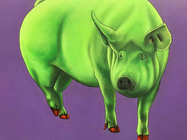 Green Pig on Purple