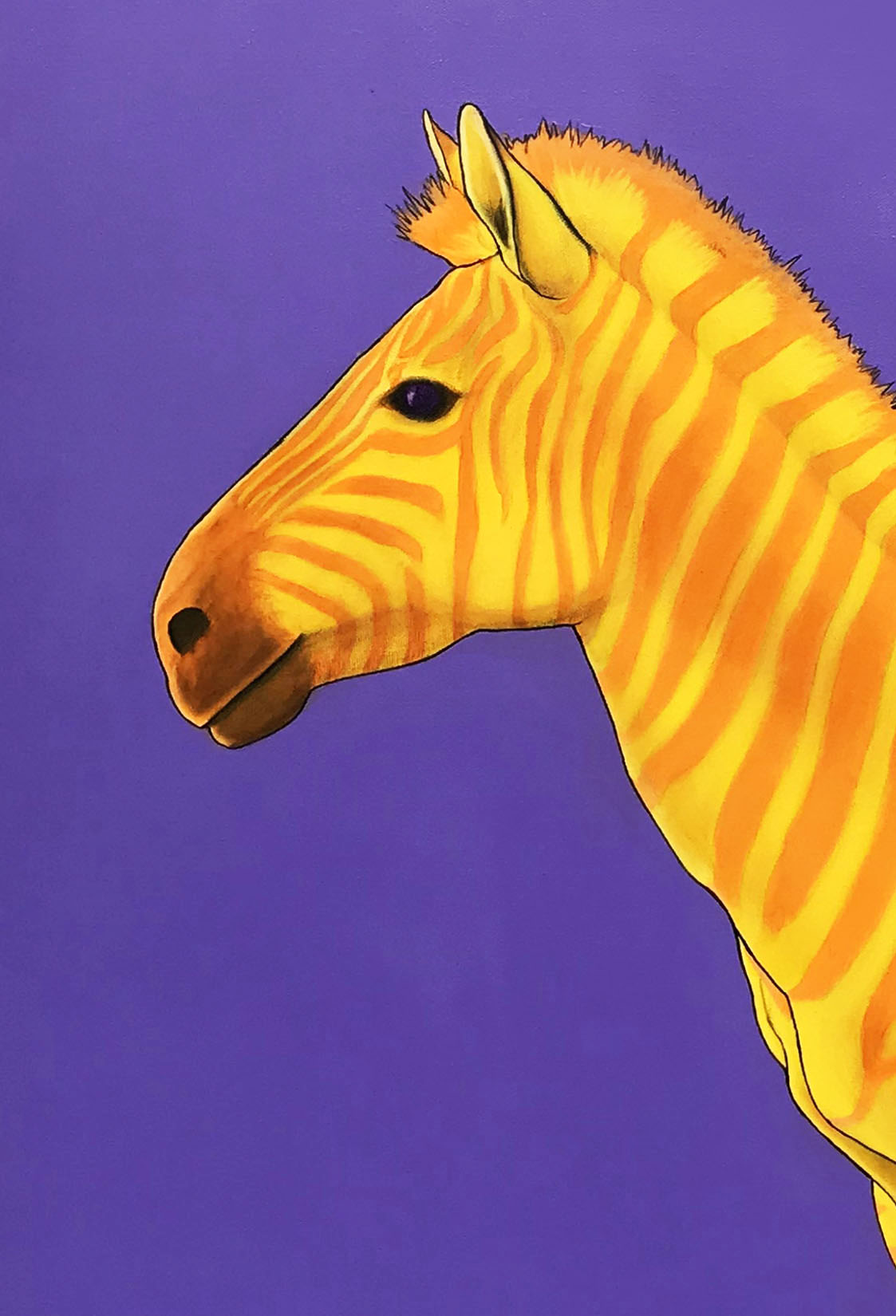 Orange and Yellow Zebra on Purple