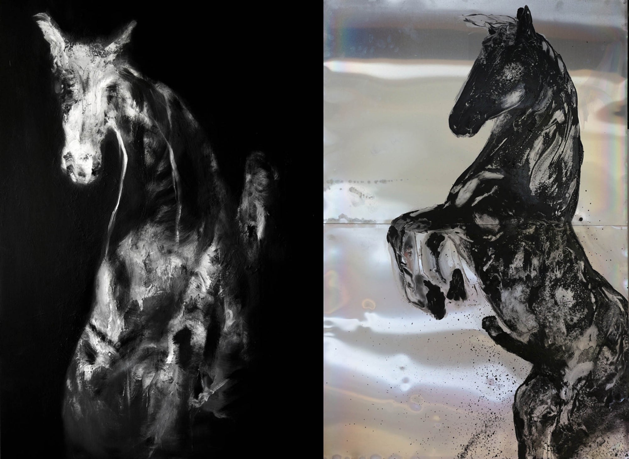 2nd Study of a Horse