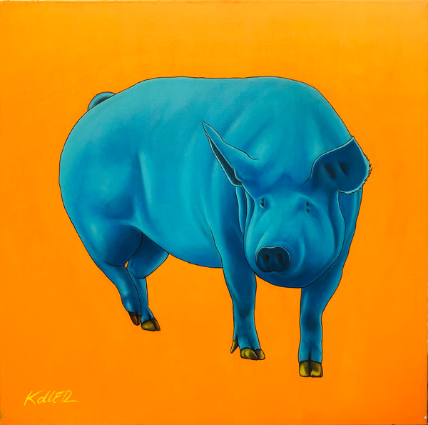 Blue Pig on Orange